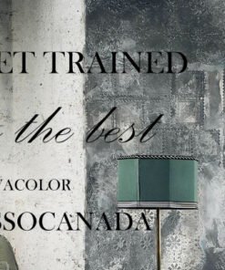 Lusso Canada Masterclass